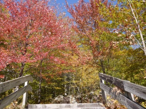 herfstkleuren in de White Mountains | Lincoln NH